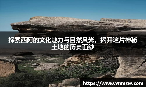 易倍emc体育平台