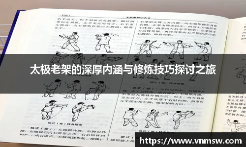 太极老架的深厚内涵与修炼技巧探讨之旅