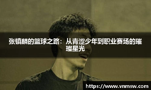 张镇麟的篮球之路：从青涩少年到职业赛场的璀璨星光